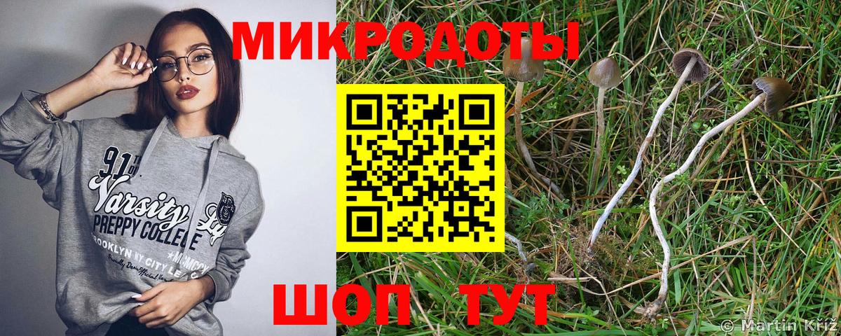 Галлюциногенные грибы мухоморы Кунгур